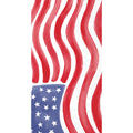 Boston International Napkins | Americana